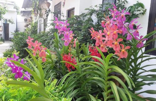Tan Uyen Town Hotel | Hotel Thien Duong Xanh