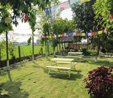 Sauraha Hotel | Hotel Tree Tops