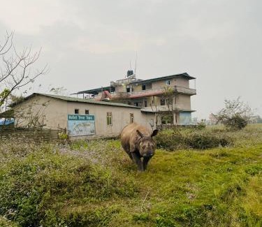 Sauraha Hotel | Hotel Tree Tops