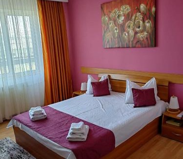 Braila Hotel | Hotel Triumph