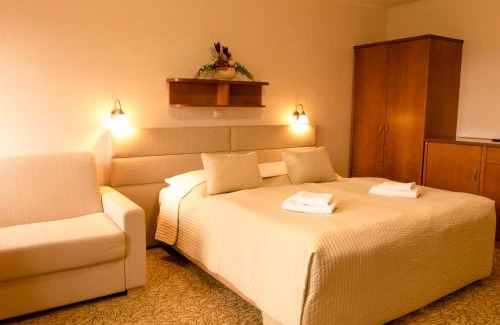 Karlovy Vary Hotel | Hotel VÍTKOVA HORA