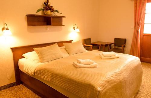 Karlovy Vary Hotel | Hotel VÍTKOVA HORA