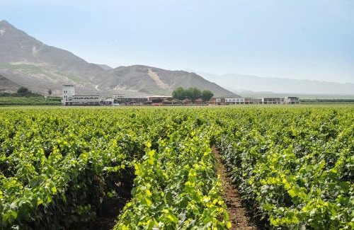 San Jose de los Molinos Hotel | Hotel Viñas Queirolo
