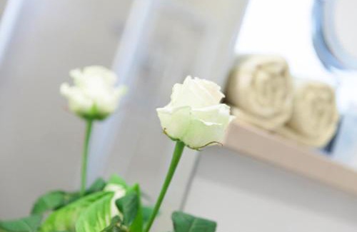 Allershausen Hotel | Hotel Villa Rosa