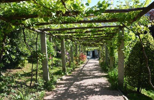 Massagno Hotel | Hotel Villa Selva
