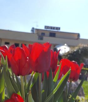 Torrecuso Hotel | Hotel Vittoria
