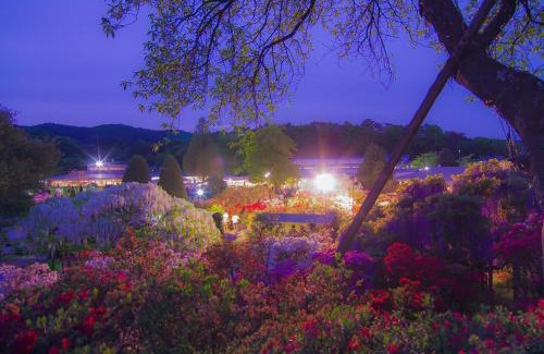 Ashikaga Hotel | Hotel Wakasa