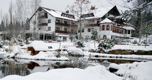 Kniebis Hotel | Hotel Waldblick Kniebis