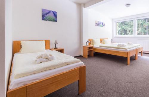 Tabor Hotel | Hotel&Wellness Knížecí rybník