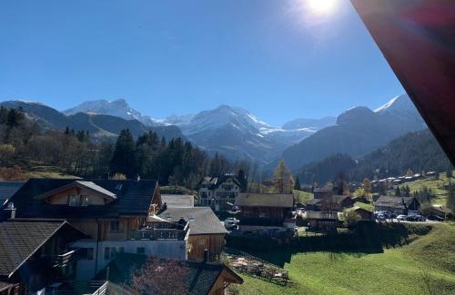 Lauenen House | Hotel Wildhorn