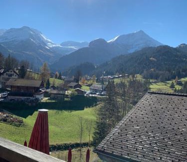 Lauenen House | Hotel Wildhorn