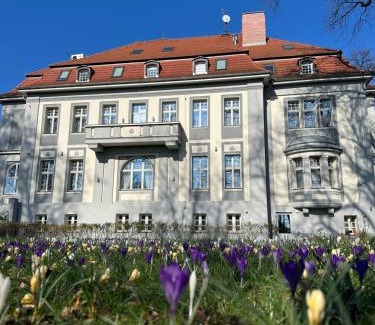 Miedzyrzecz Hotel | Hotel Willa Starosty