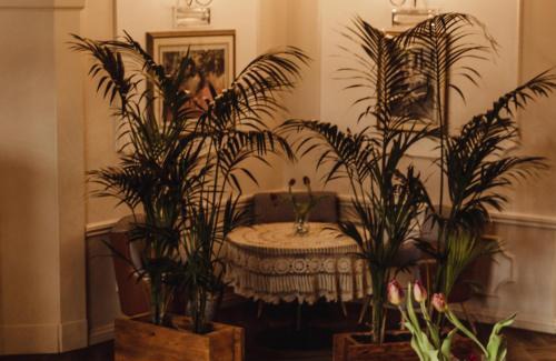 Miedzyrzecz Hotel | Hotel Willa Starosty