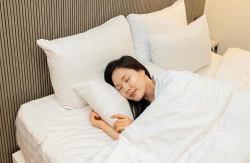 Ansan Hotel | Hotel Wol