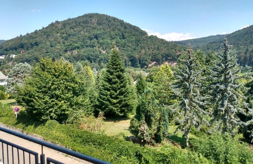 Schlierbach Hotel | Hotel zum Neckartal Heidelberg