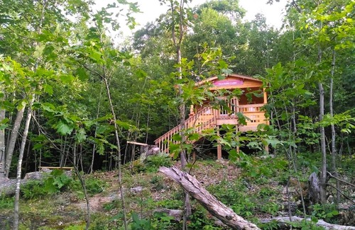 Golden Lake House | House ∙ 1 bedroom ∙ 4 guests