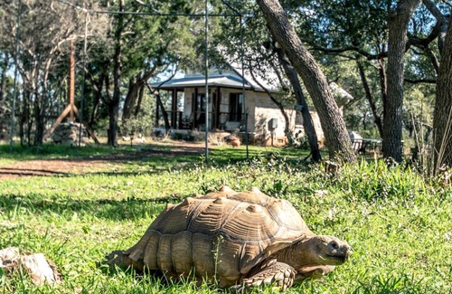 Hammett's Crossing House | House ∙ 1 bedroom ∙ 5 guests