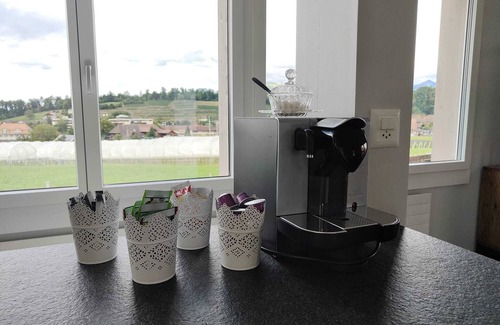 Spiez Villa | House 15 minutes to Interlaken I Sauna I Free Parking I Free Internet I Netflix