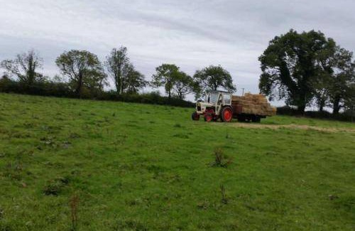County Cavan House | House ∙ 3 bedrooms ∙ 6 guests