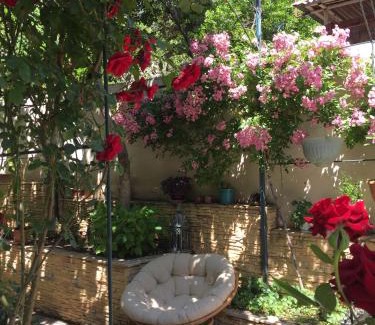 Tbilisi Bed & Breakfast | House 41