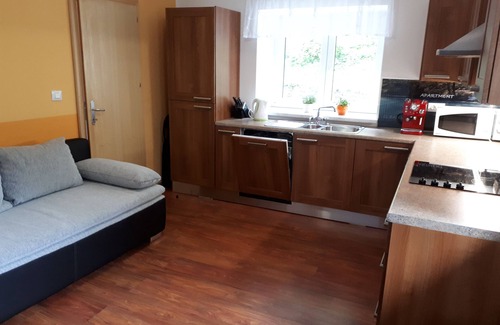 Podbrdo House | House Apartmaji Utrinek - with playroom, garage, terrase, sauna and jacuzzi