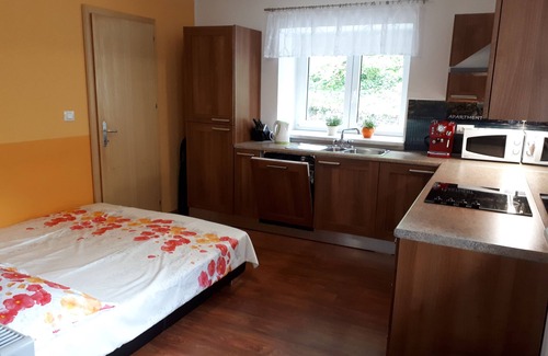 Podbrdo House | House Apartmaji Utrinek - with playroom, garage, terrase, sauna and jacuzzi