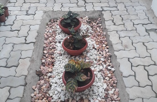 Malabe House | house,city house,town house,small hose.