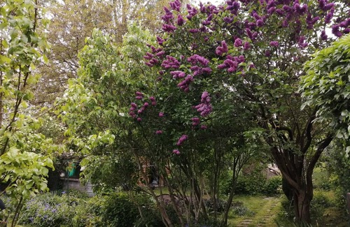 Bonnebosq House | House in charming village 15 min from the sea