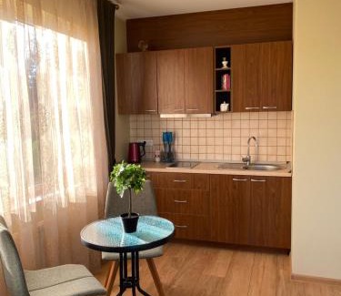 Druskininkai Apartment | House in Druskininkai Oldtown