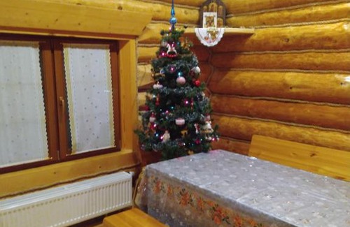 Pereslavl-Zalesskiy House | House near the lake