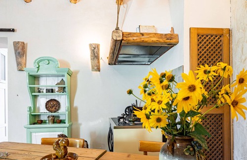 Vrisnik House | House Peace and Nature (89571-K1) - Jelsa - island Hvar