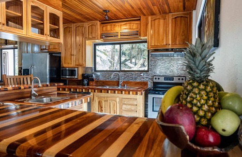 El Cerro House | House,Pool in the jungle.Great location short walk to famous Playa la Macha