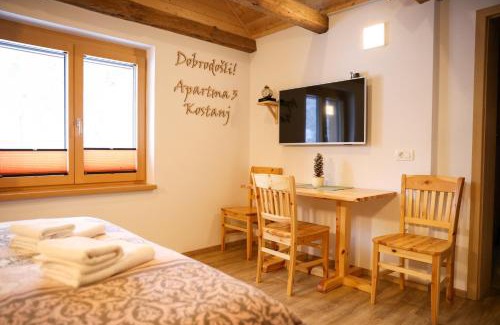 Hocko Pohorje Apartment | House Storz