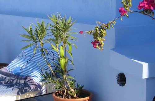Medina Hotel | House / Villa - Asilah