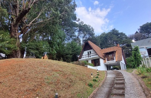 Jardim Andira House | House with two large bedrooms 5 minutes from the center.