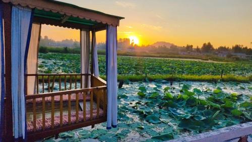 Dal Lake Hotel | Houseboat young wild Rose