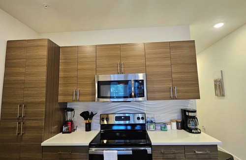 Montrose Apartment | Houston Downtown Cozy Luxury midtown apartment