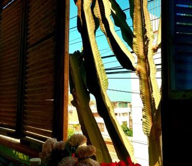 Huanchaco House | Huanchaco Surf Camp