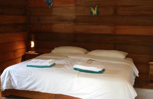 Cotundo Cabin | Huasquila Amazon Lodge