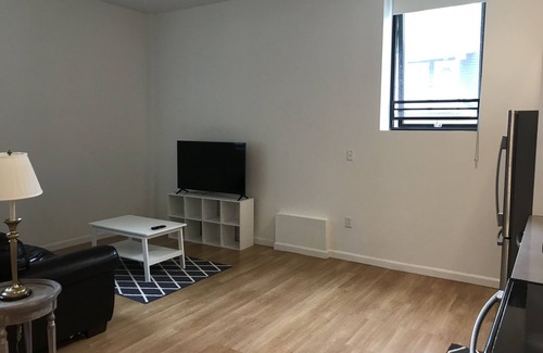 Jamaica Plain Apartment | Huge 2 bed, 2 bath new apartment with private terrace!