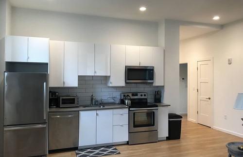 Jamaica Plain Apartment | Huge 2 bed, 2 bath new apartment with private terrace!