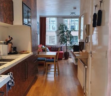 Grachtengordel-West Apartment | Huis Roomolen