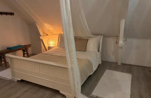 Asch House | Huisje rozen