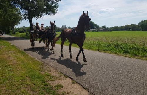 Overdinkel Bed & Breakfast | Huisjeaandedinkel