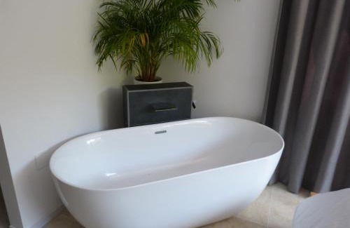 Noordwolde Apartment | Huize Triangel - Wellness studio met sauna