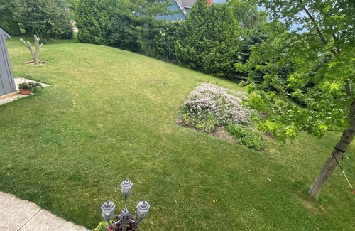 Ashfield-Colborne-Wawanosh Cottage | Huron Lakefront Romantic Cottage/pet friendly/Outdoor Shower for you/pets.