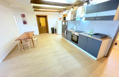 Oberteisbach Apartment | I Apartment Dingolfing Ferienwohnung Kronwieden I