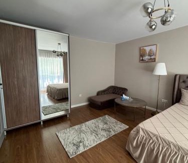 Braila Apartment | Iancu