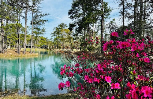 Walterboro House | Ibis Cottage Suite 3717-B- part of Eden at Gracefield Event Venue