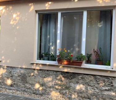 Sutto Apartment | Ica Vendégház